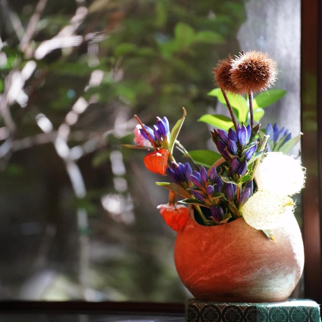 朝日を浴びてキラキラ️談話室のお花が明るく光っていました。