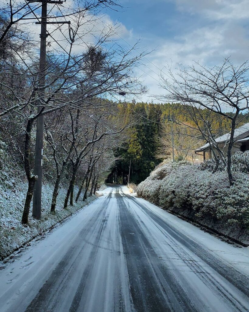 今朝の南小国町️3℃️昼頃には日影はまだ雪が残ってましたが、ほとんど溶けてました朝晩はお気をつけて️凍ります天気予報は晴れでも、標高が高いので、道路情報はくれぐれも、ご確認をお願いします‍♀️