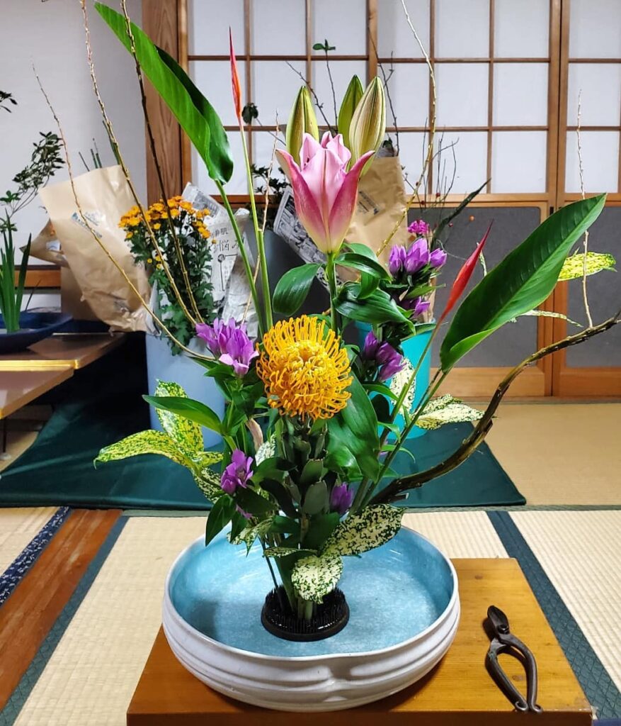 今日のお花