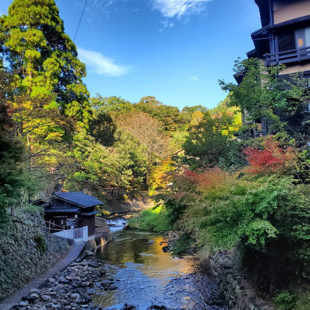 紅葉もそろそろかな少しずつ色付き始めました