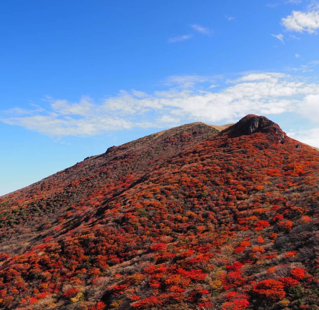 くじゅう連山は紅葉の見頃を迎えております10月29日撮影登山口の牧ノ戸峠まで黒川温泉から車で約20分ととても近く、扇ヶ鼻、星生山など、約5-6時間の日帰り登山なら食事付きでも、夕食に間に合います朝早い出発のお客様は、朝食なしプラン、または、素泊まりでのご宿泊もおすすめです歩き疲れた体をほっこり温泉で癒しませんか？